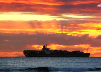 cargo ship on the sea at sunset
